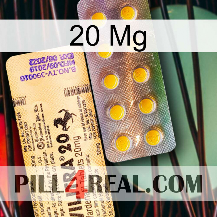 20Mg new06